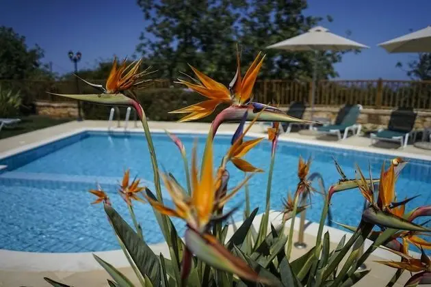 Dafni - Gerani Villas With Private Pooi