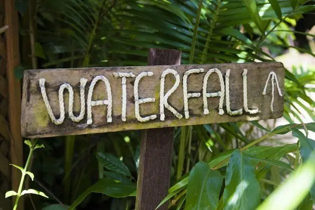 Daintree Ecolodge