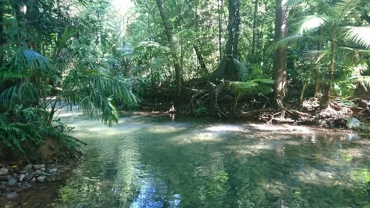 Daintree Peaks ECO Stays - Dış Mekan