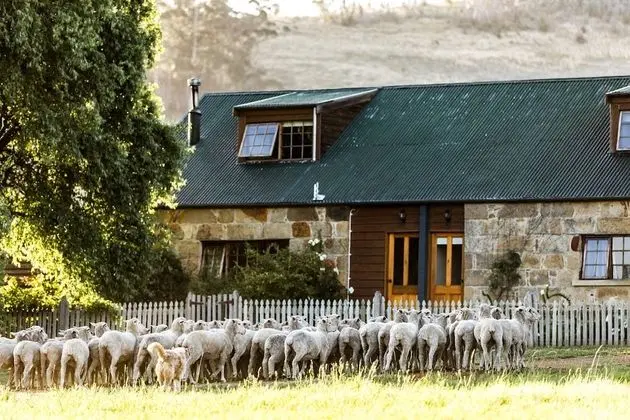 Daisy Bank Cottages - Öne Çıkan Resim