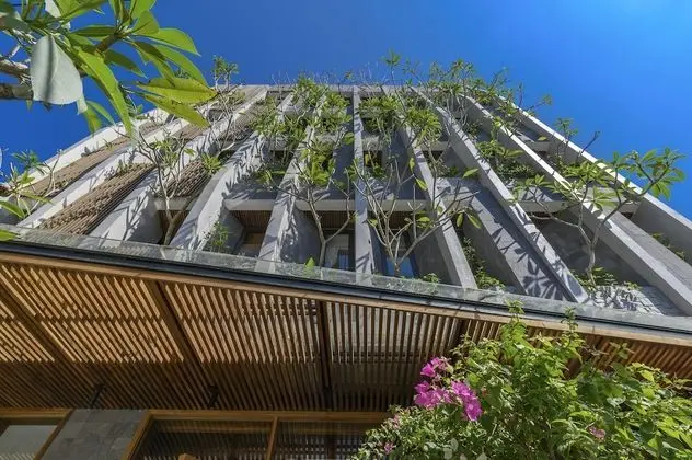 Daisy Boutique Hotel & Apartment - Dış Mekan