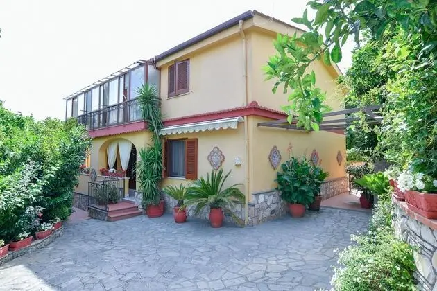 Daisy House