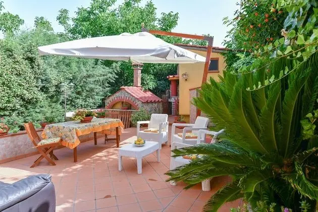 Daisy House - Dış Mekan