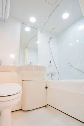 Daiwa Roynet Hotel Osaka Uehonmachi - Banyo Tipleri