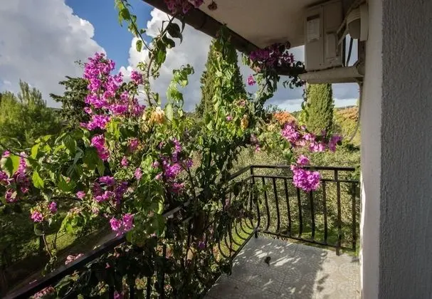 Daju - 3 Colours - A3 Narančasti