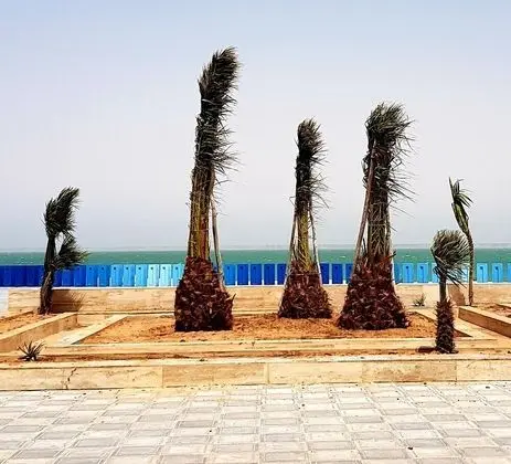 Dakhla Ride Adventures