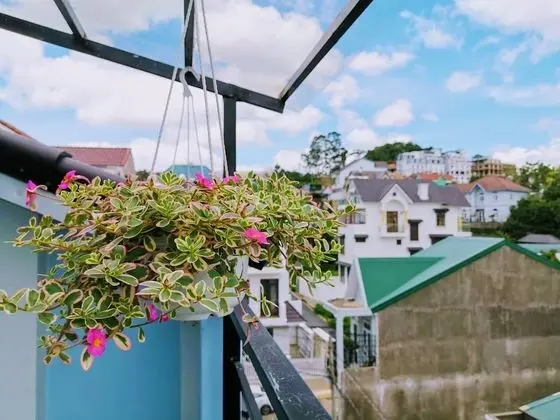 Dalat Che House