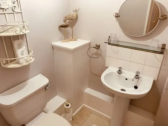 Dale Cottage - Banyo Tipleri