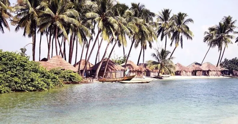 Daltons Banana Guesthouse - 1