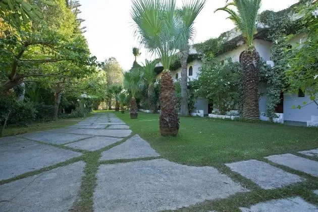 Damnoni Paradise