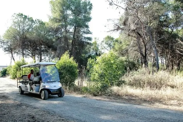 Danaide Resort - Dış Mekan