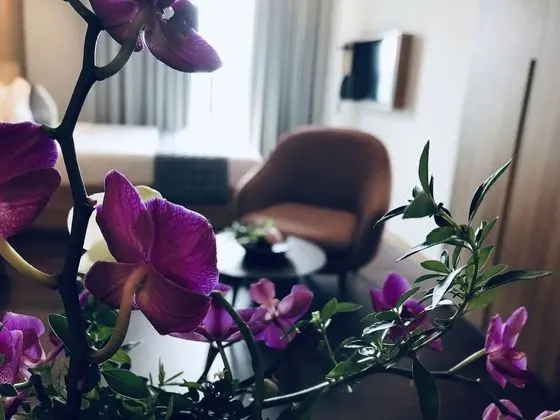 DaNang Moon Villa & Apartment - Oda