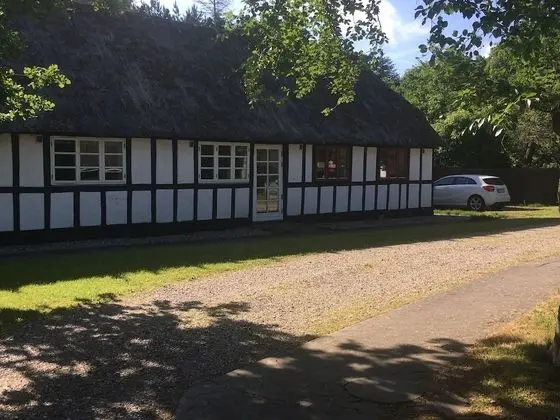 Dancamps Trelde Næs