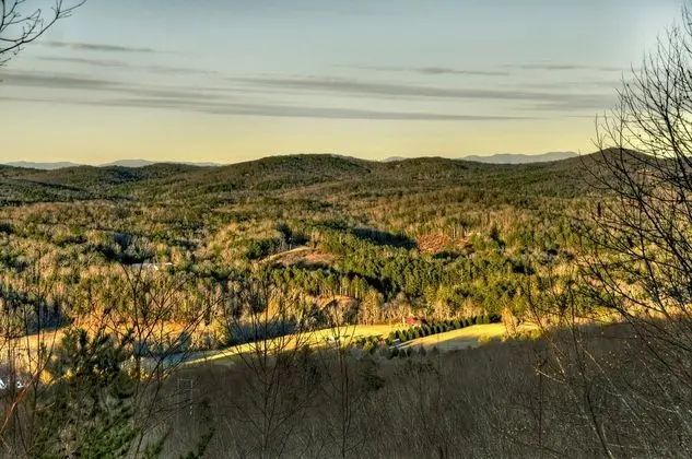 Dancing Bears- Mtn View Near Blue Ridge
