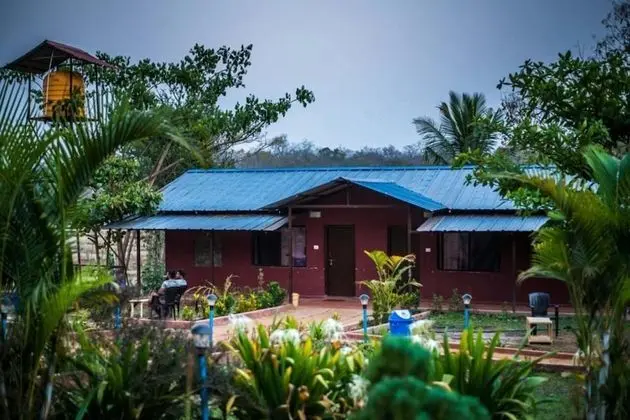 Dandeli Mysa RC