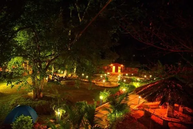 Dandeli Mysa RC