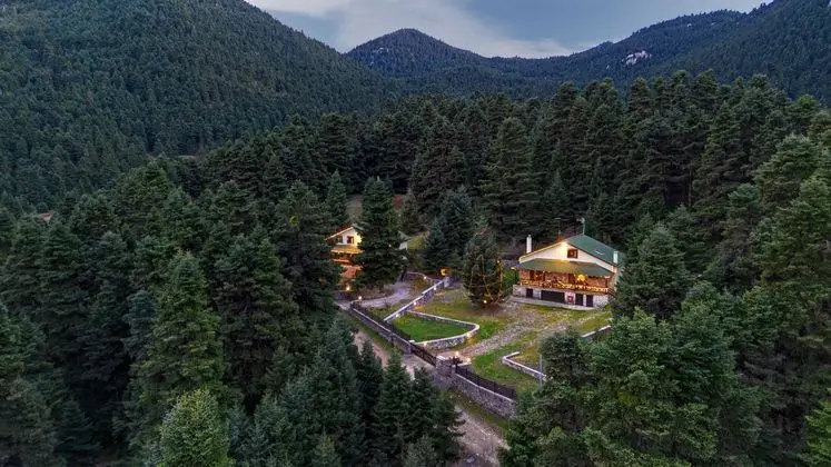 Dandy on the hill Chalet Artemis - Öne Çıkan Resim