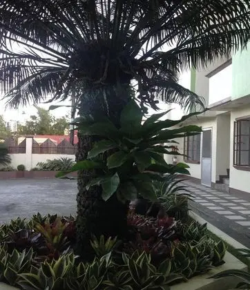 Danel Pensionne House - Dış Mekan