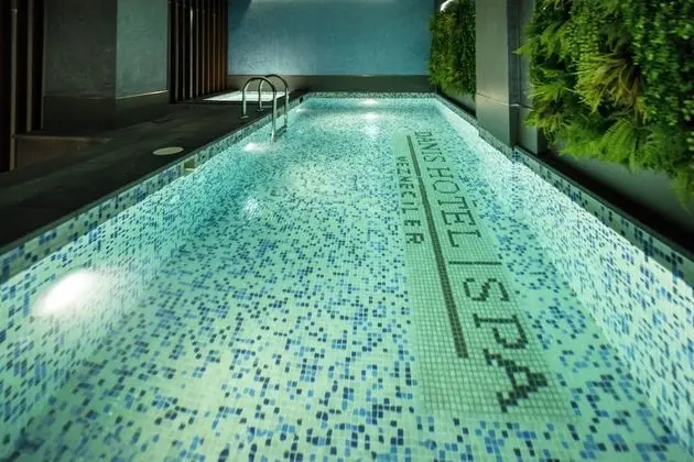 Danis Hotel Istanbul Old City - Havuz