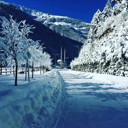 Danis Otel Uzungöl