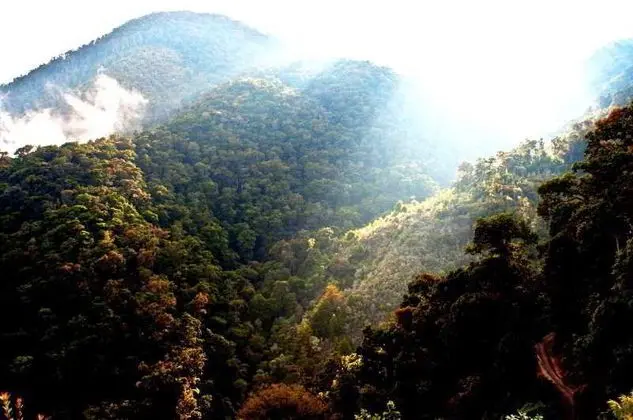 Dantica Cloud Forest Lodge