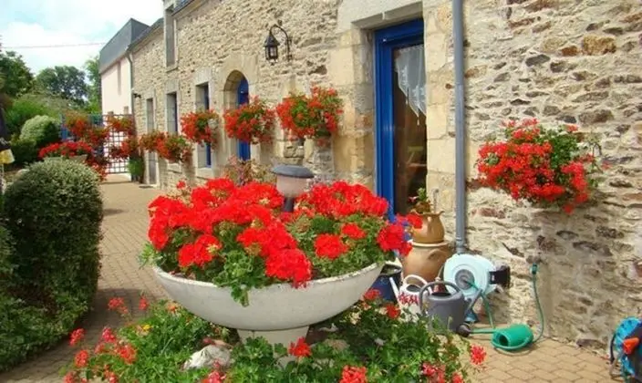 Daol Grenn - Chambres d'Hôtes