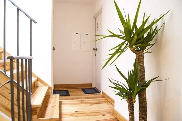 Daora Lisbon Apartaments - İç Mekan