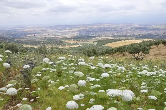 Dar 7 Louyat - Dış Mekan