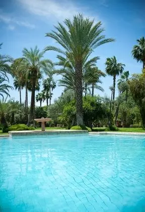 Dar Ayniwen Garden Hotel & Bird Zoo - Havuz