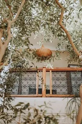 Dar Nour El Houda - Dış Mekan