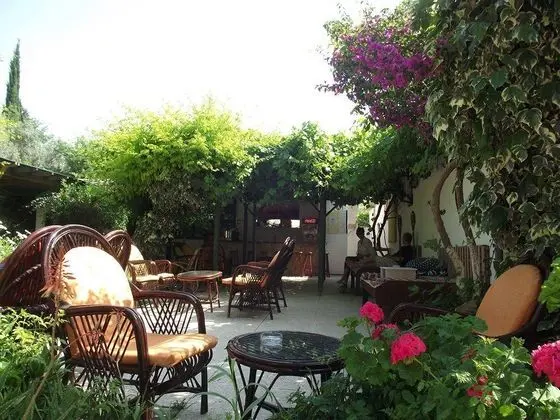 Dardanos Hotel - Manzara / Peyzaj