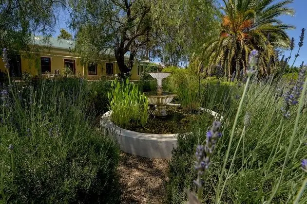 Darling Lodge Guest House - Dış Mekan