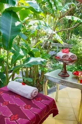 Darmada Eco Resort - Spa