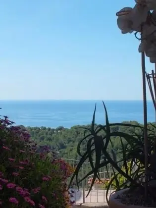 Villa d'Arte - Plaj