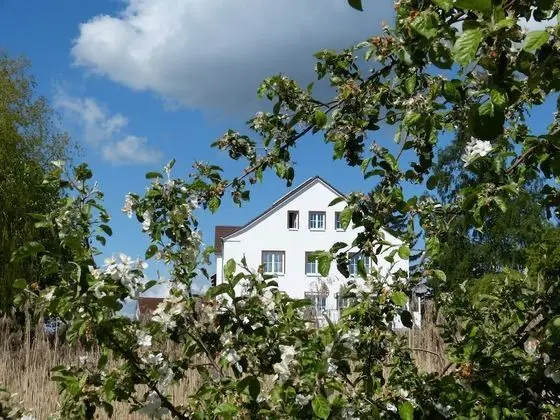 Das Haus am Teich