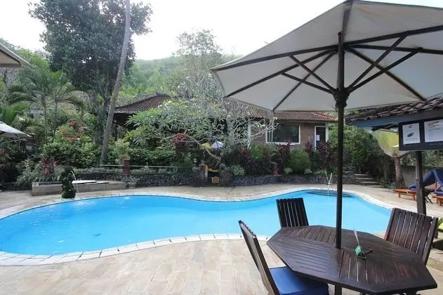 Dasa Wana Resort - Havuz