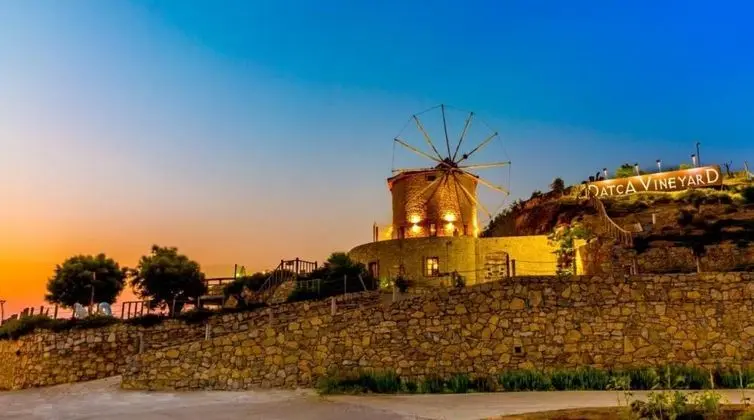 Datça Vineyard Guesthouse (+14 Adult Only)
