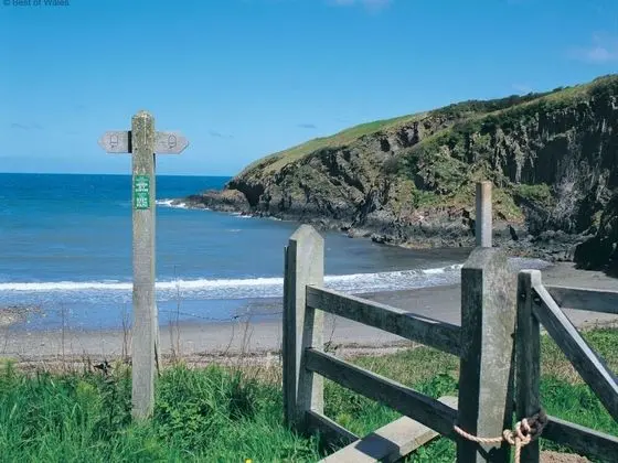 Dau Draeth Dinas Cross - Oda