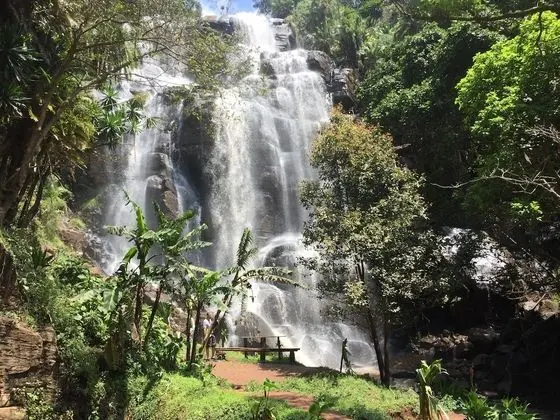 David Crater Homestay