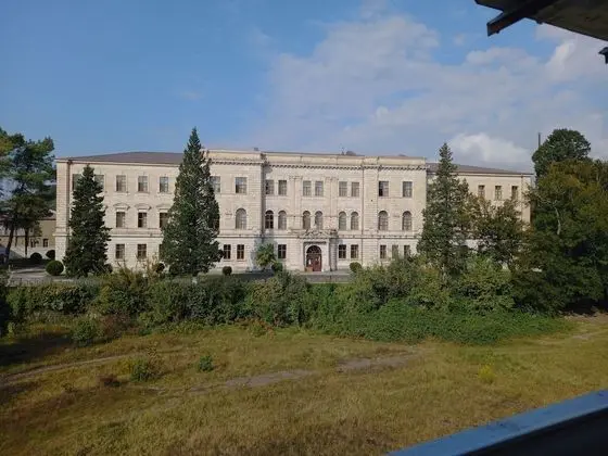Hotel David