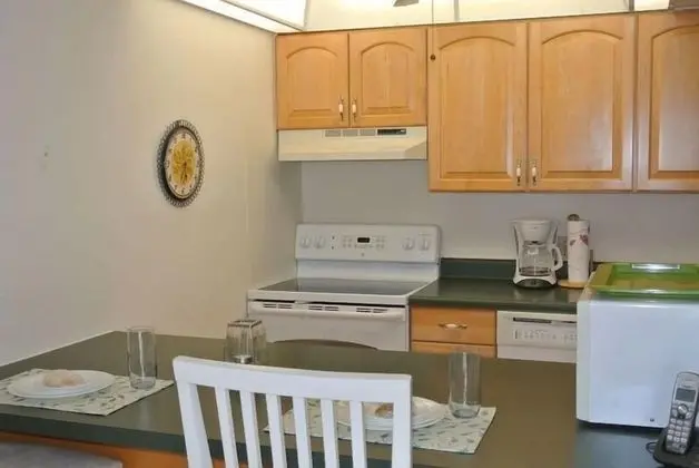 David's Dolphin Way Condo - Mutfak