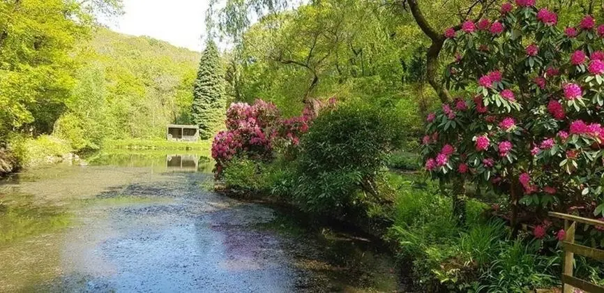 Davy Cottage in the Countryside With Horse Riding - Dış Mekan