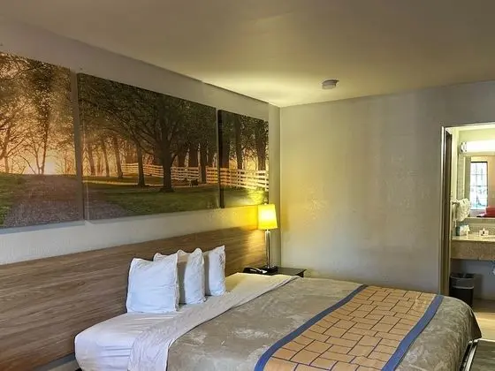Days Inn by Wyndham Alexandria - Oda