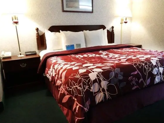 Days Inn by Wyndham Battlefield Rd/Hwy 65 - Genel
