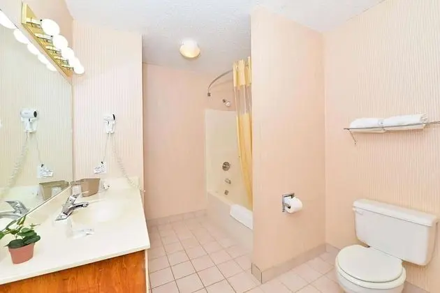 Days Inn by Wyndham Ozark Springfield - Banyo Tipleri