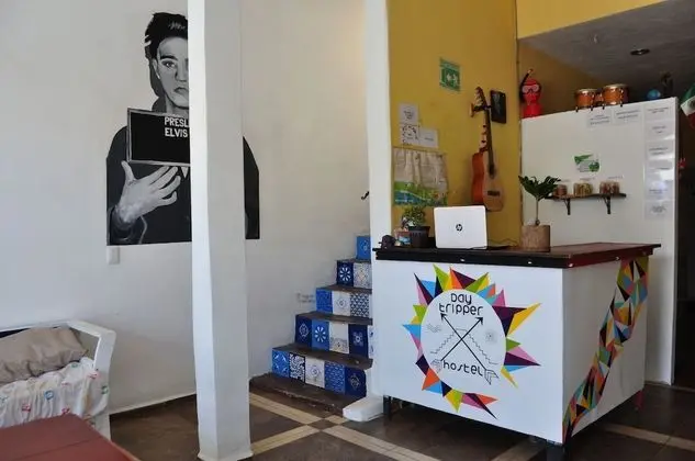 Daytripper Hostel - Lobi