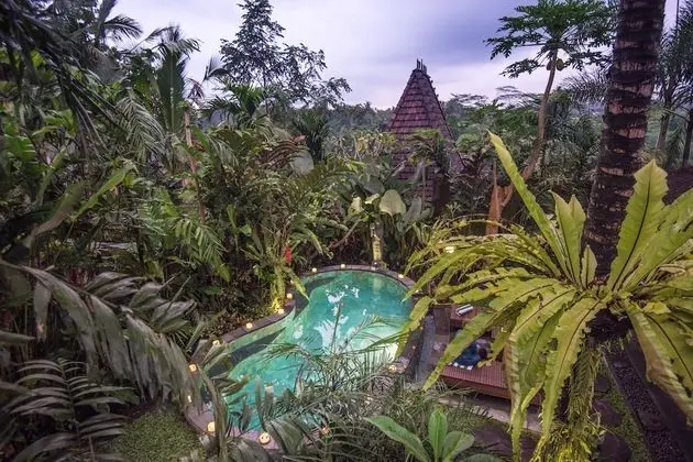 D'Bale Ananda Ubud Villa - Havuz