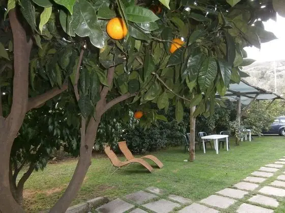 Villa De Angelis - Dış Mekan