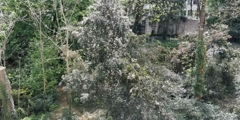 De Berri, A Luxury Collection Hotel