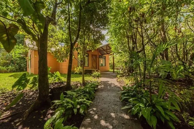Hotel de Cabañas Valle Campanas - Oda Manzaraları